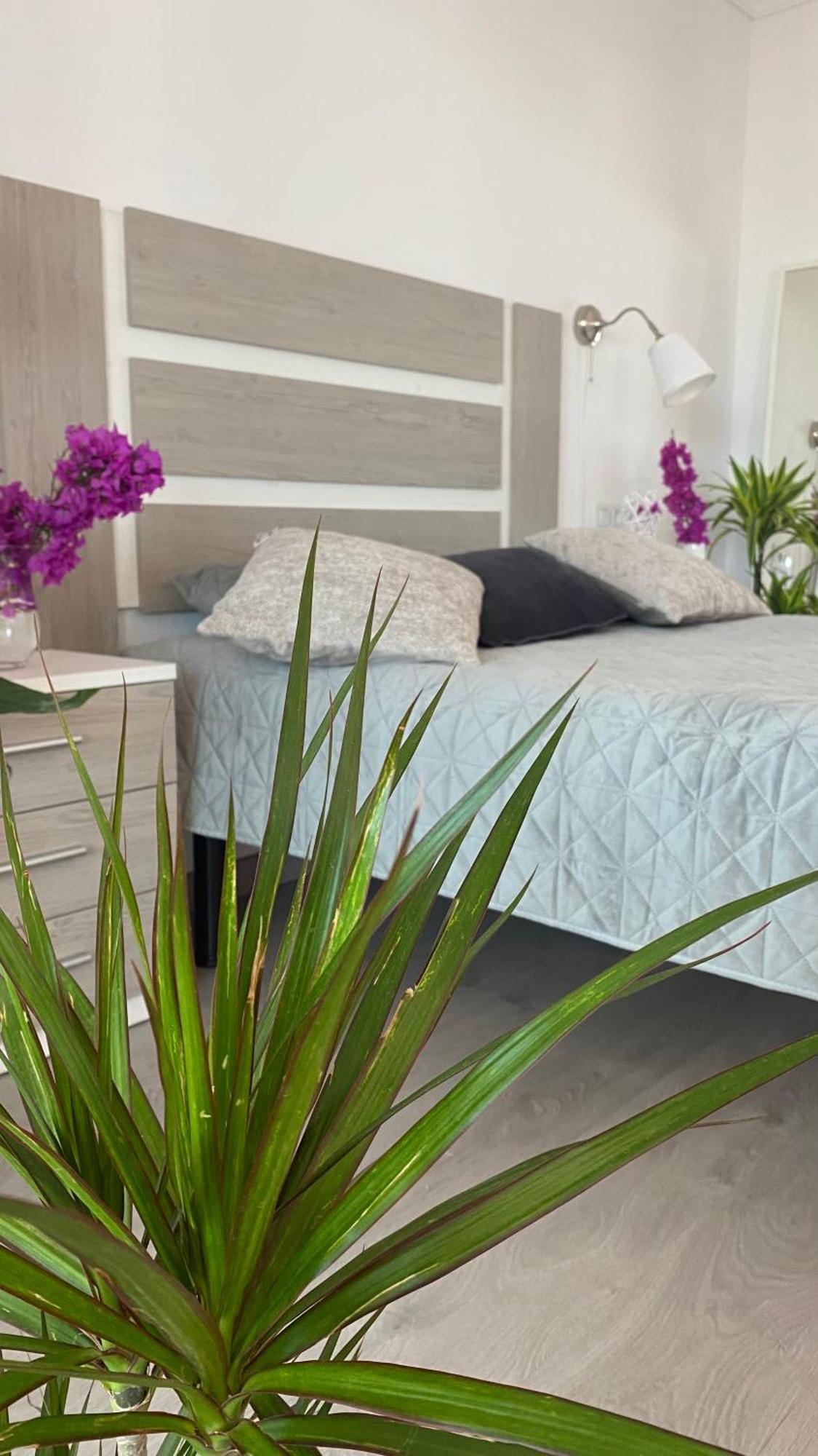 Apartment Anna Μπένιντορμ Εξωτερικό φωτογραφία